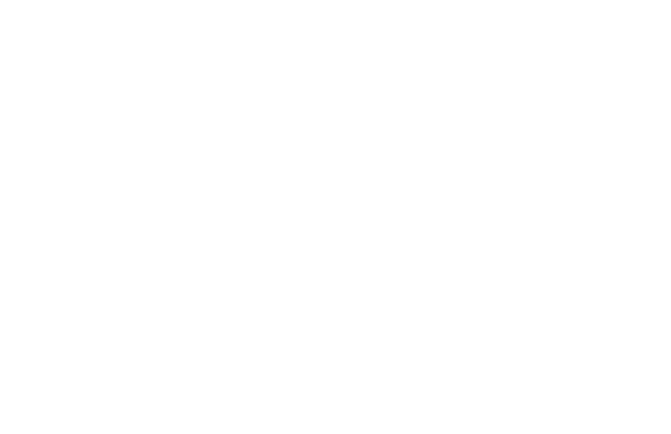 null logo