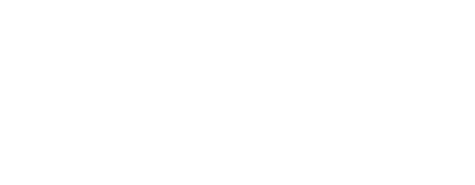 null logo