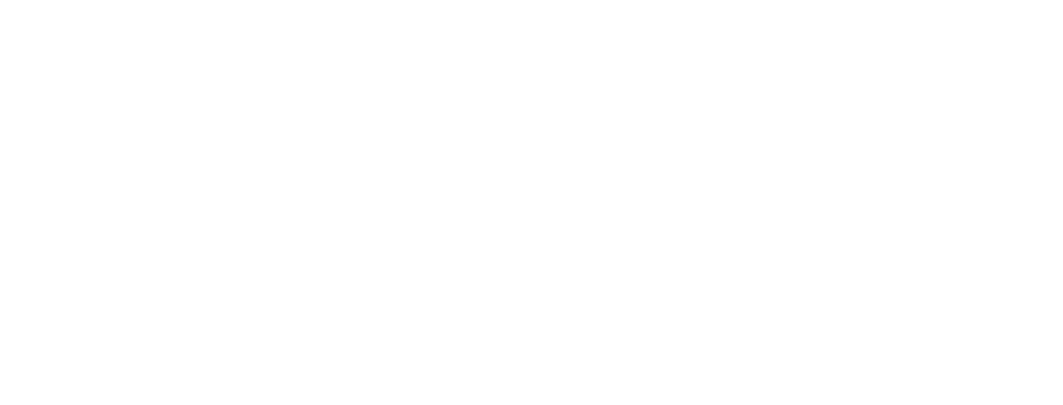 null logo