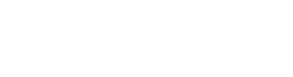 null logo