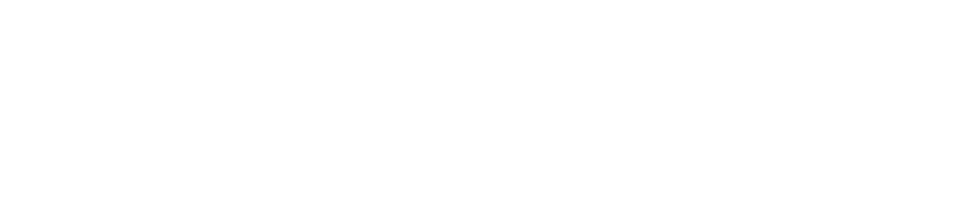 null logo