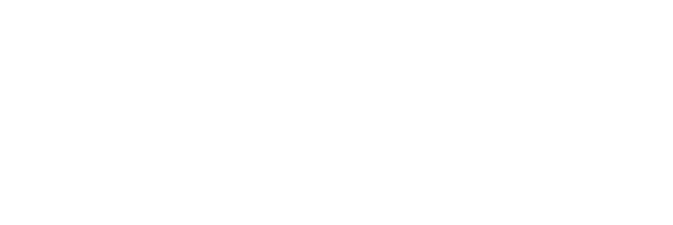 null logo
