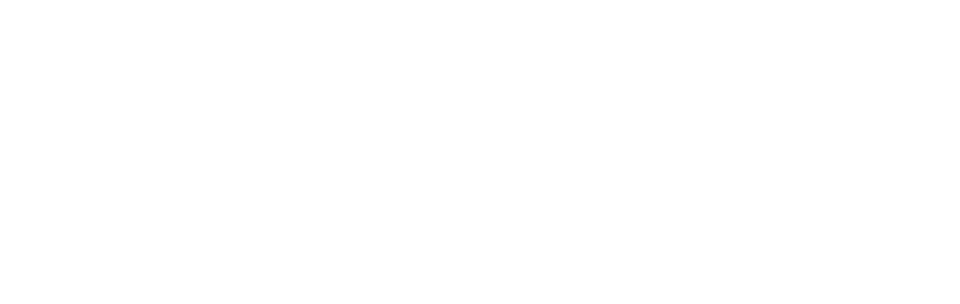 null logo