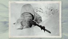 Dan Brown y la muerte blanca