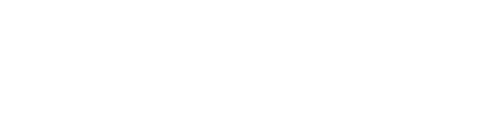null logo