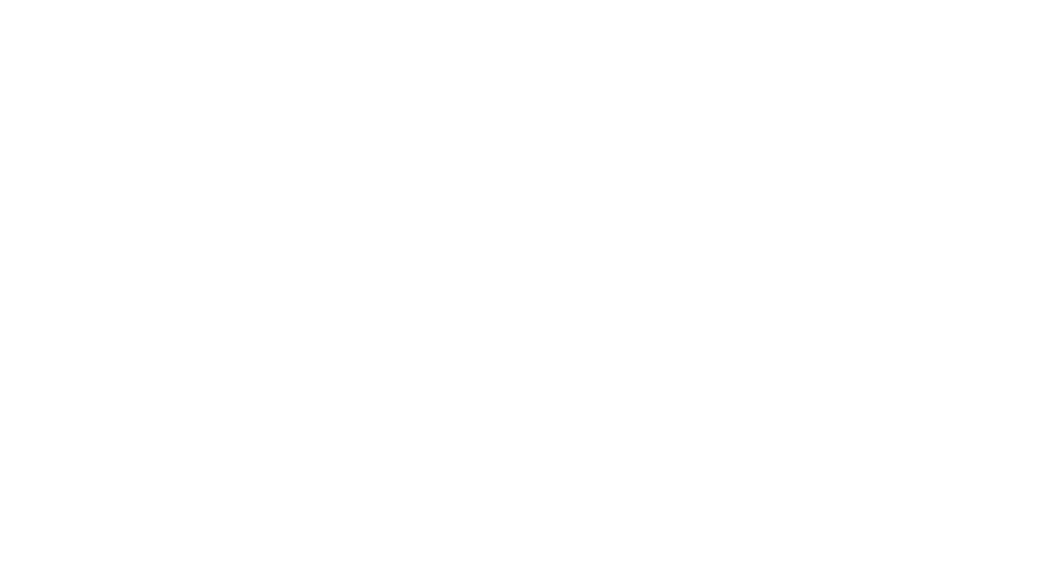 null logo