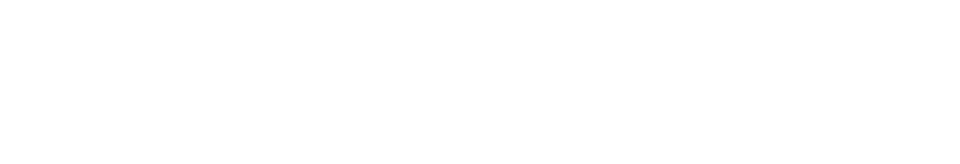 null logo
