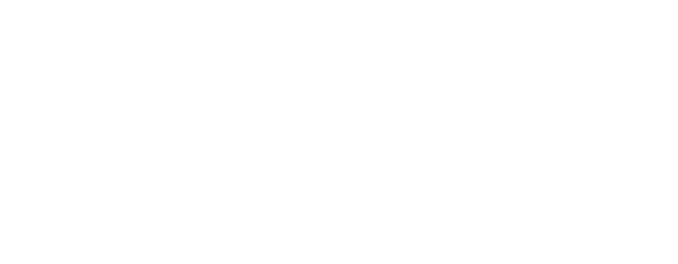 null logo