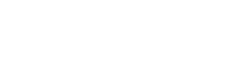 null logo