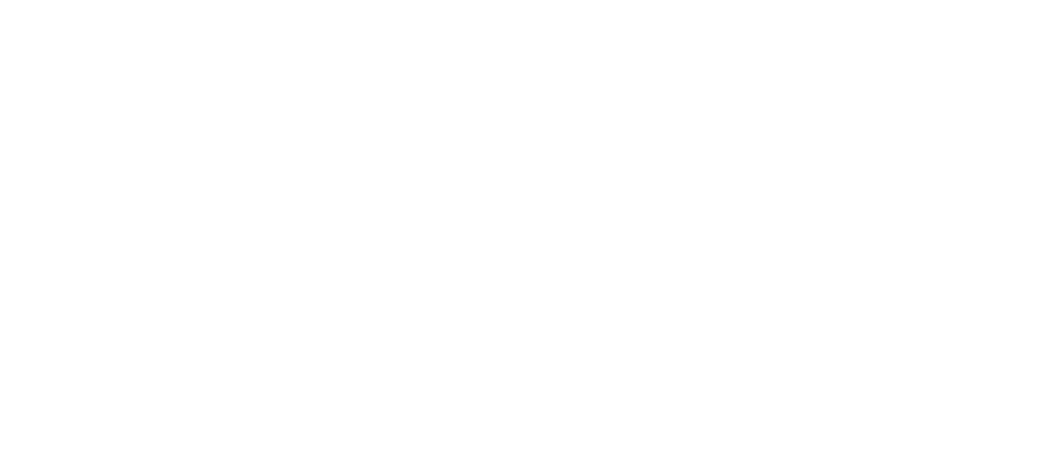 null logo