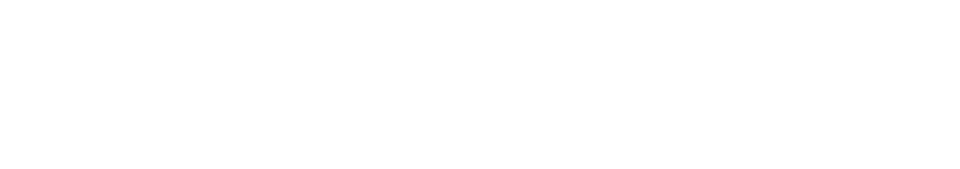 null logo