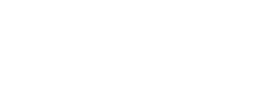 null logo