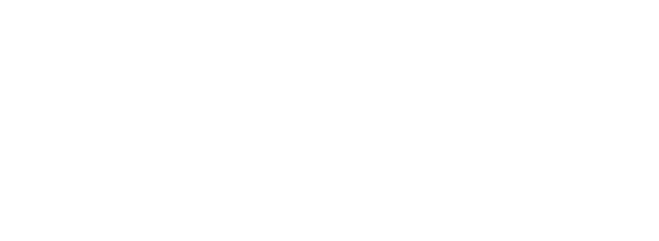 Conexión Honduras logo