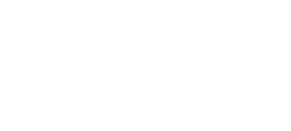 null logo