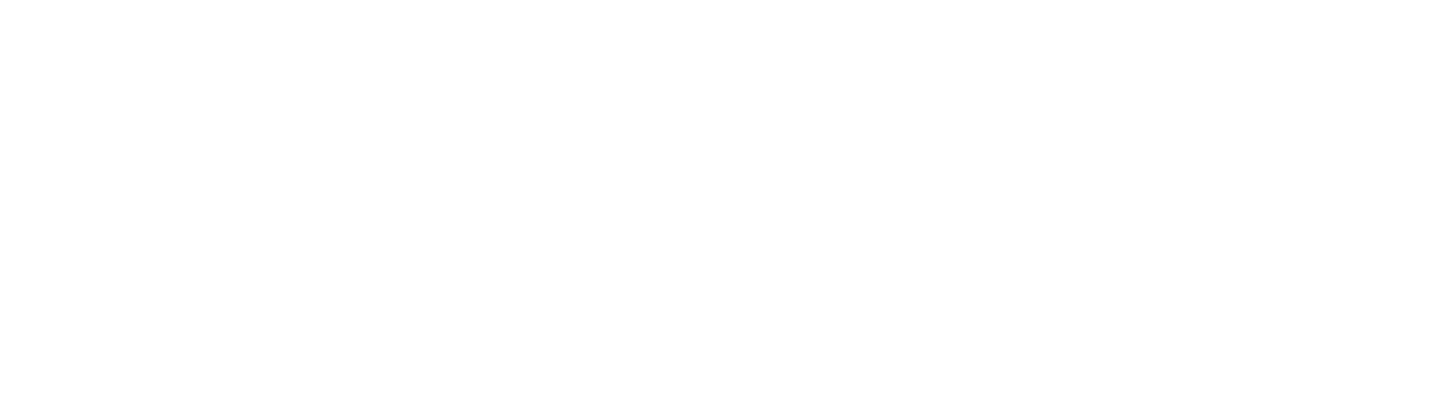 null logo