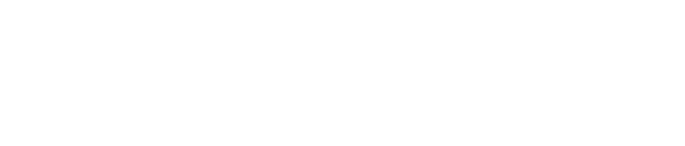 null logo