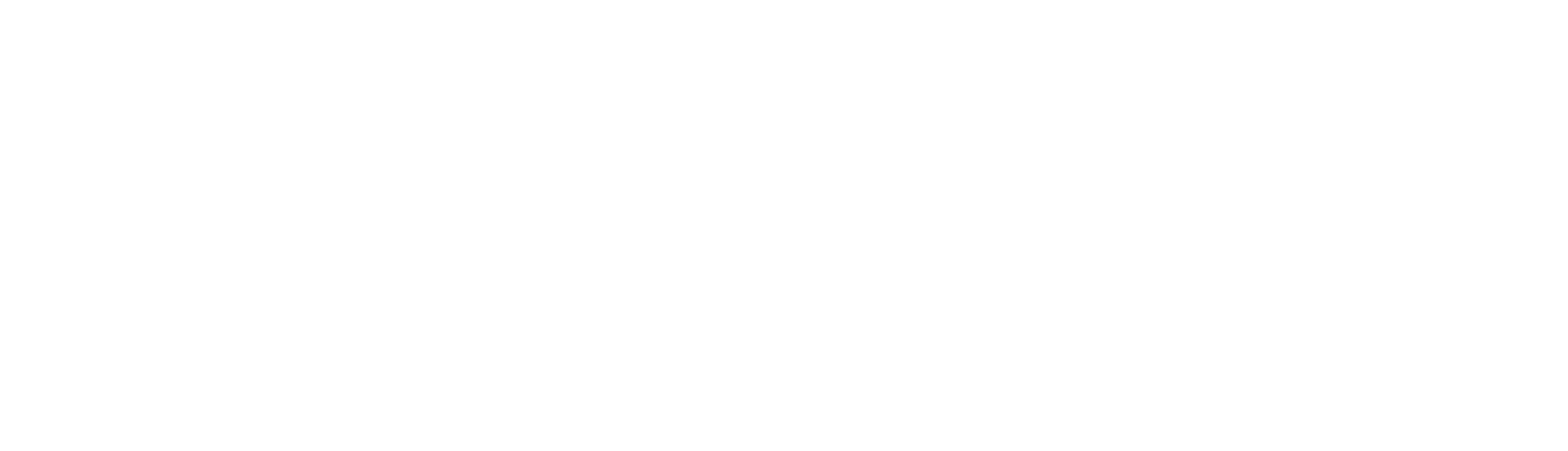 Fight Sports  logo