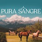 Pura sangre