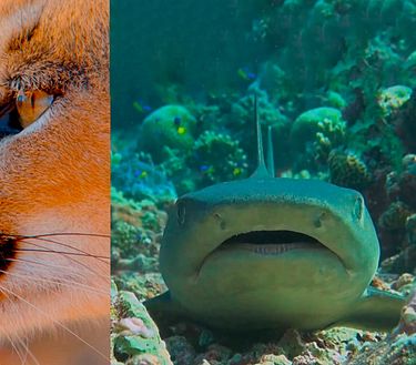 Il mondo ti aspetta, scoprilo con noi.