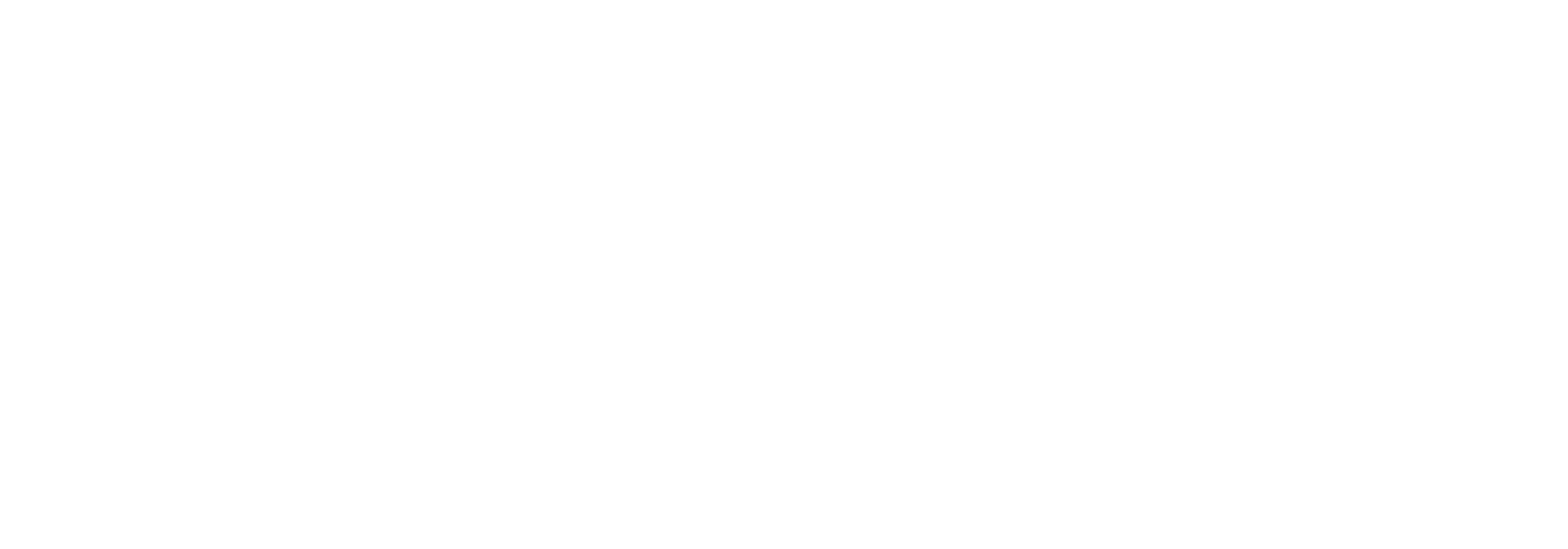 null logo