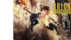 Brick mansions