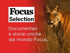 Focus Selection
