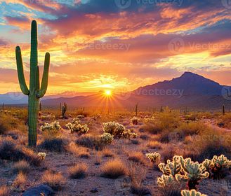 Alla scoperta dei parchi nazionali del Nord America