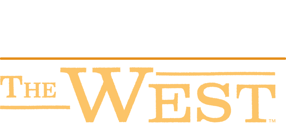 null logo