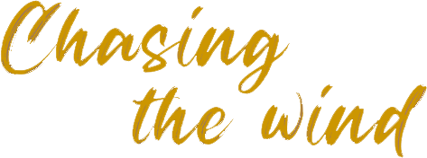 FILM logo