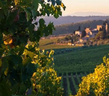 Il nuovo lusso del vino? Berlo prima che arrivi in bottiglia 