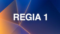 Diretta GF VIP: Regia 1