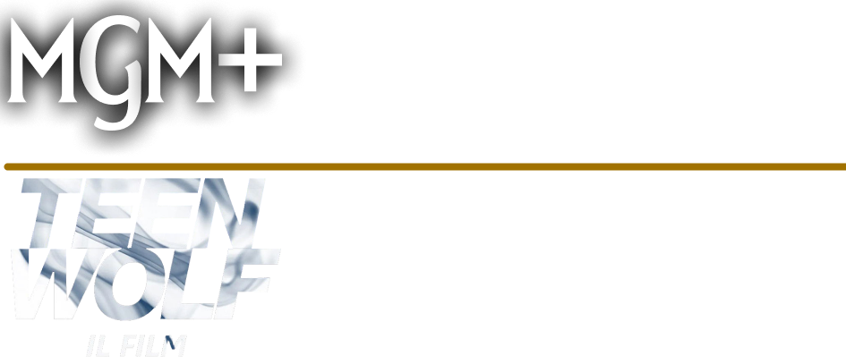 null logo