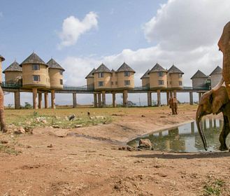 Gli incredibili hotel nel mondo immersi nella natura 
