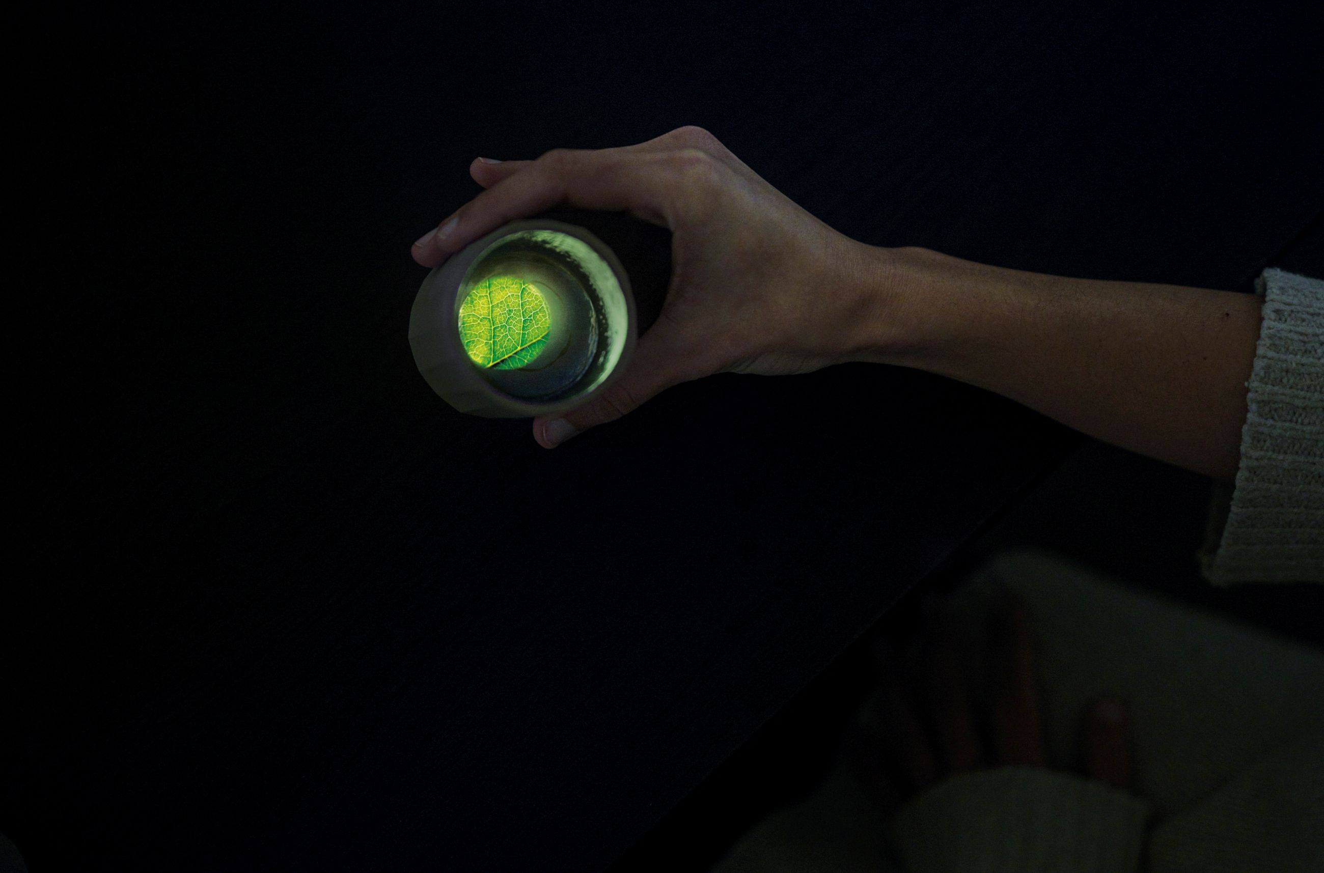 Habits Light Bites - Courtesy Press Office