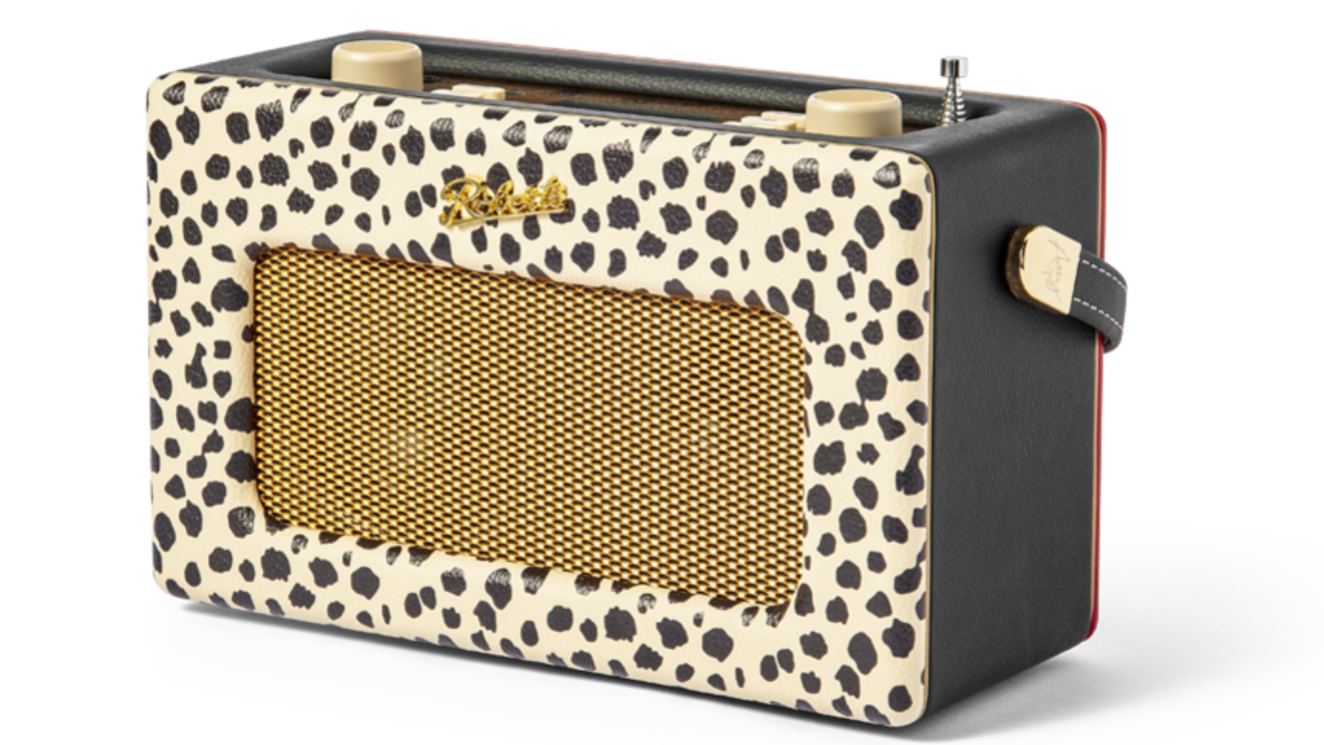 Il modello iStream3L X Amy Edition ispirato alla cantante Amy Winehouse; Roberts
Credits: www.robertsradio.com