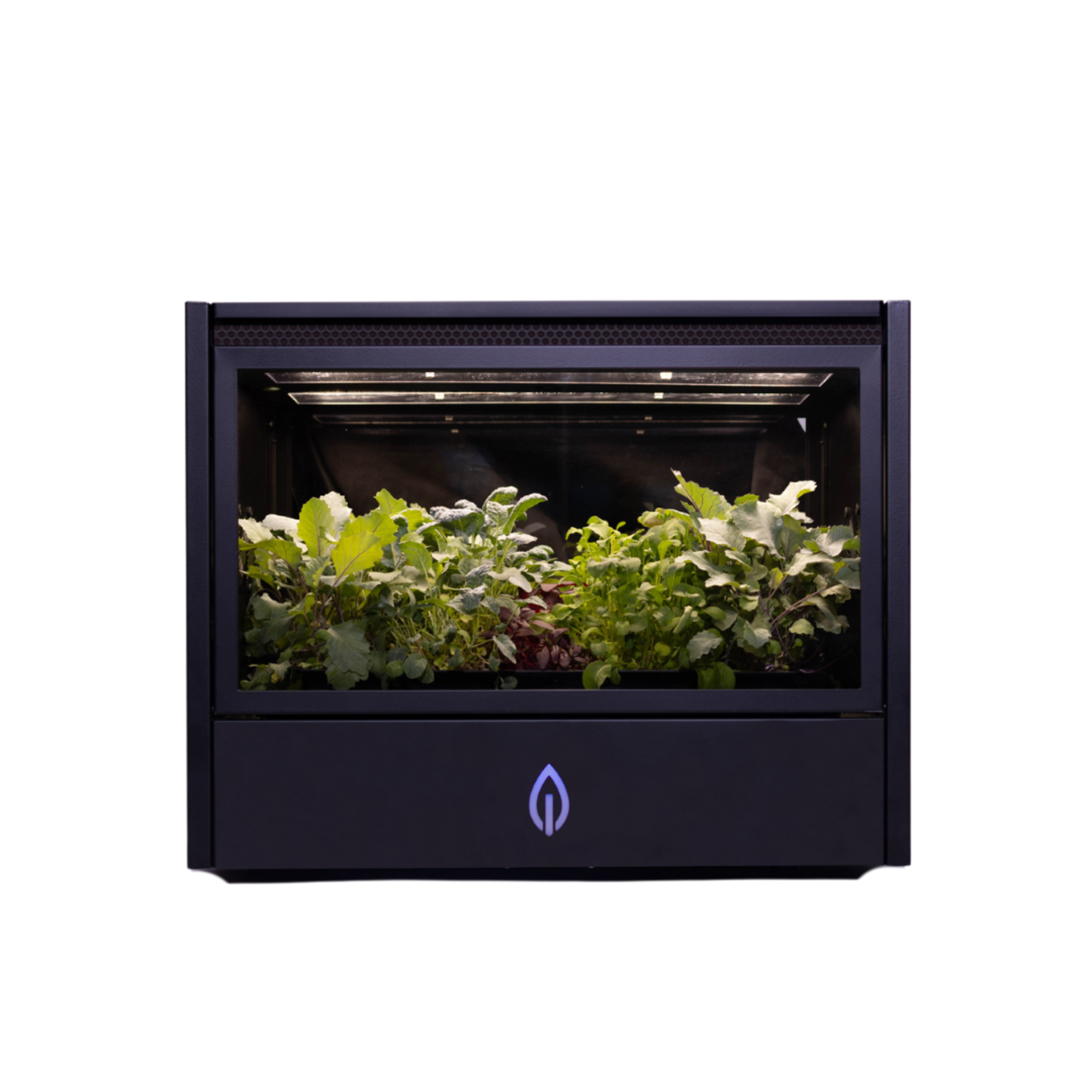 CultEvo di Cultifutura un orto verticale domestico con 50 specie, che ottimizza luce e acqua per ridurre i consumi - Credit: Courtesy Press Office - Credit: Courtesy Press Office