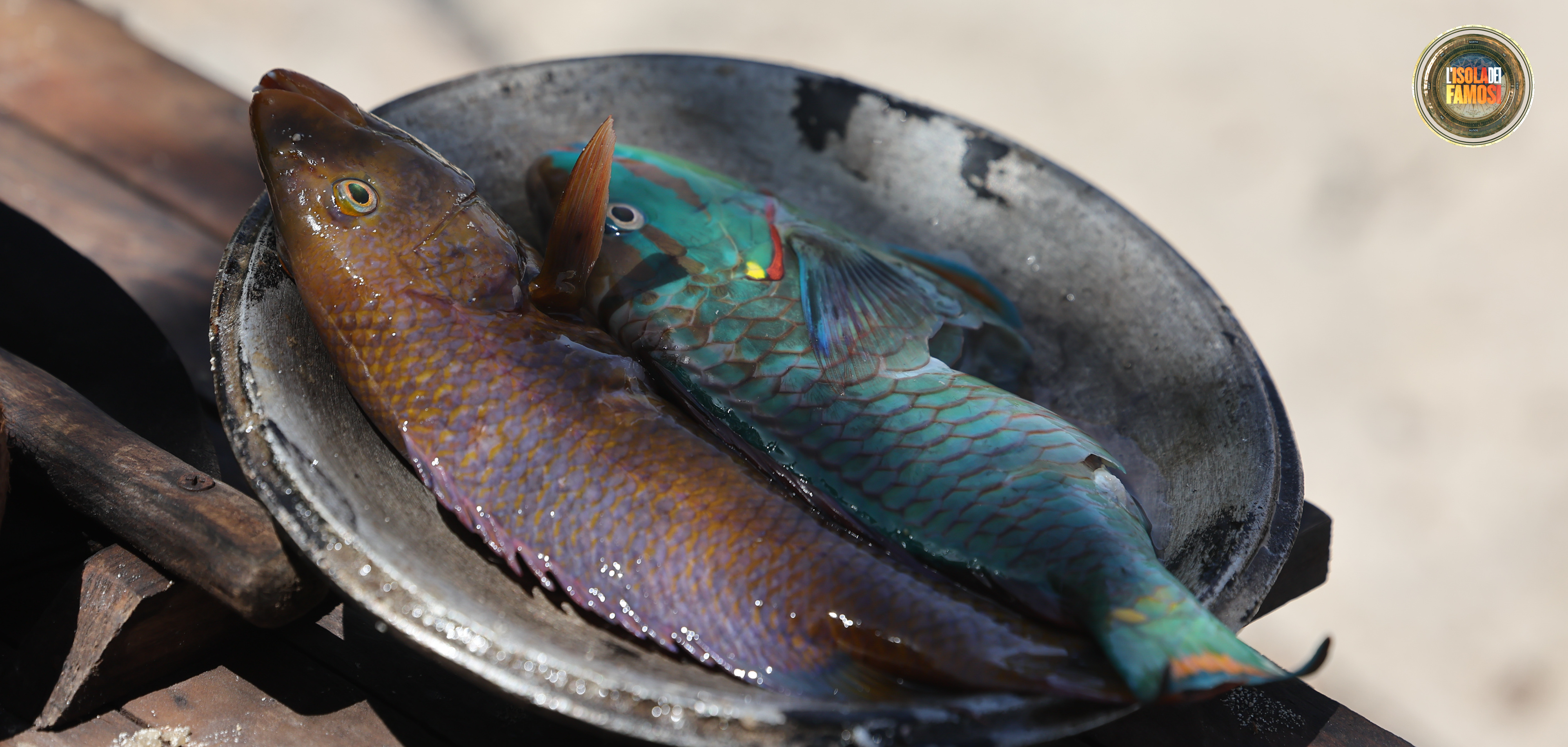 Da mangiare insieme alle piade, i pesci pescati da Jey e Omar sono pronti per essere cucinati.