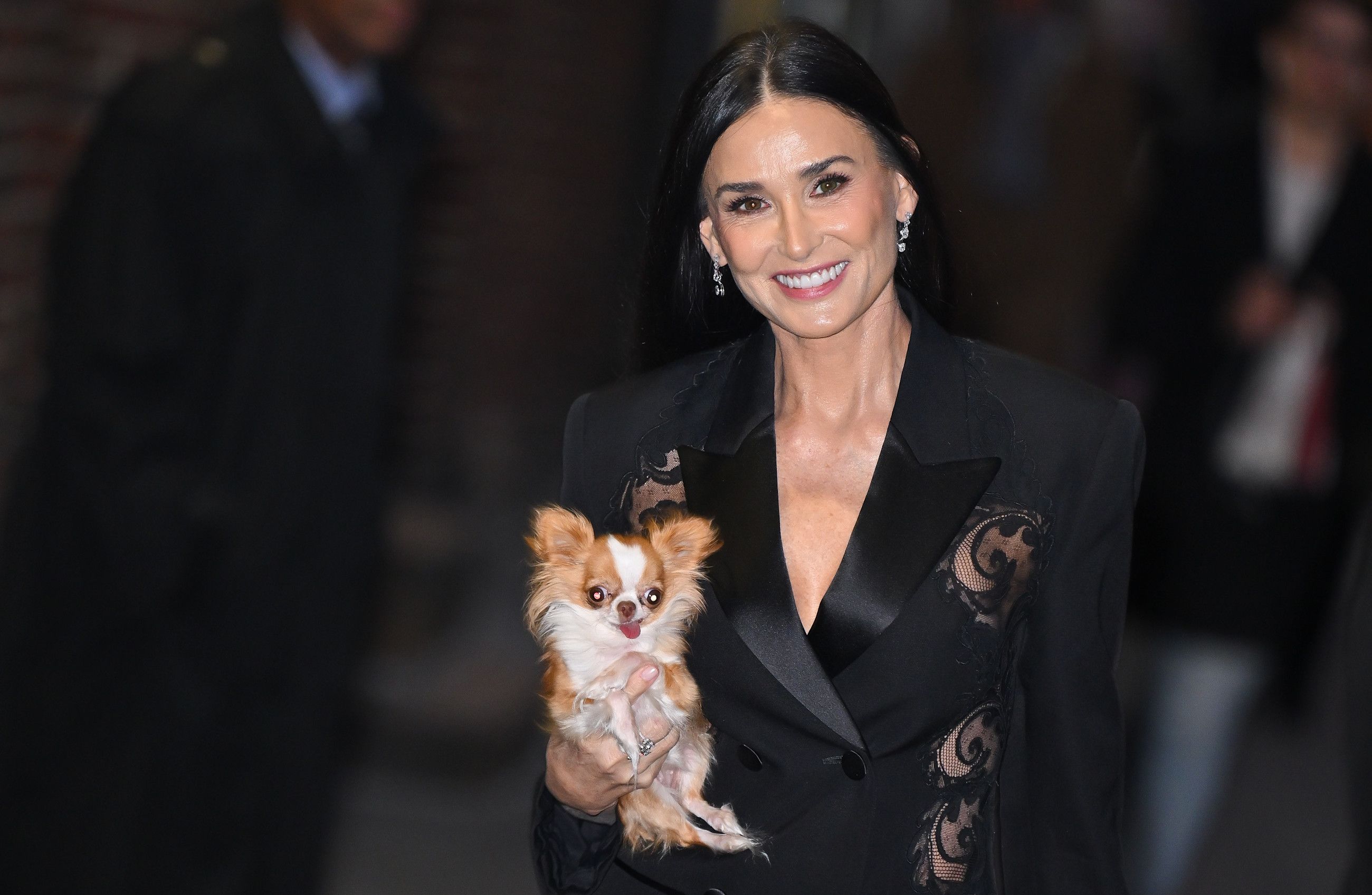 L'attrice Demi Moore e il suo adorato Chihuahua, Pilaf
Credit: Getty Images