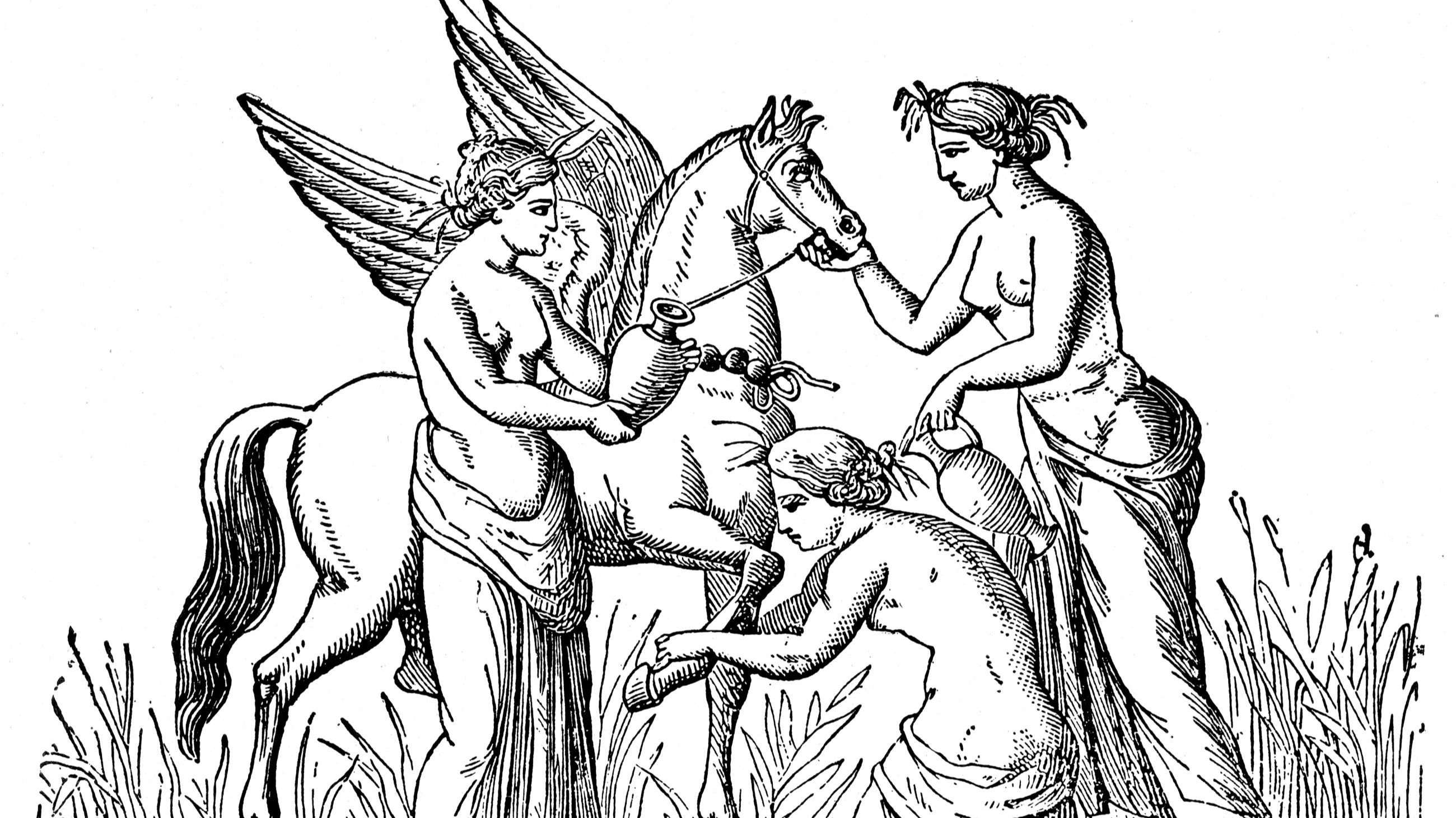 Le Ninfe proteggono il cavallo alato Pegasus; 1753 - Credits: Getty Images