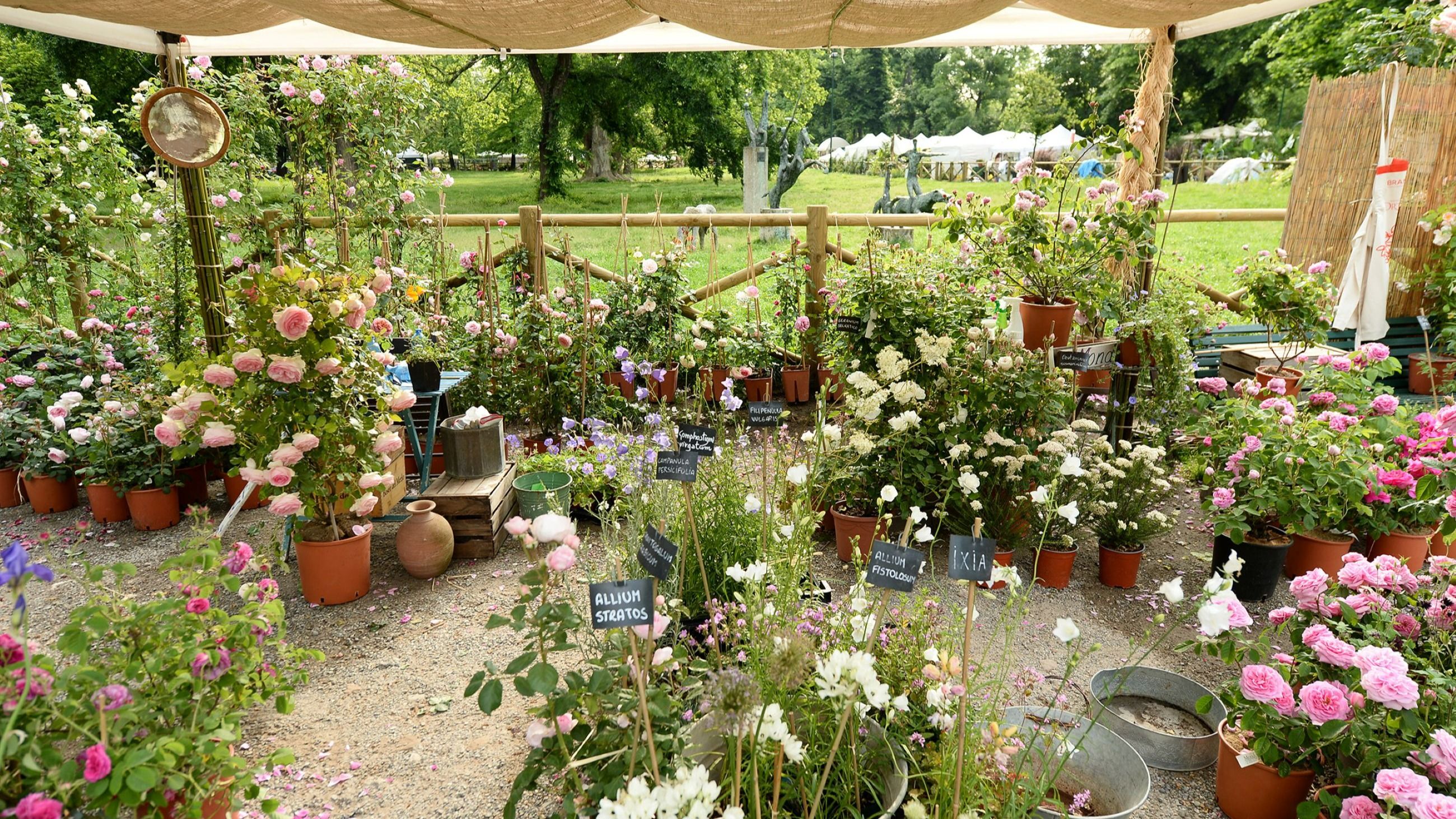 Orticola - Courtesy Orticola