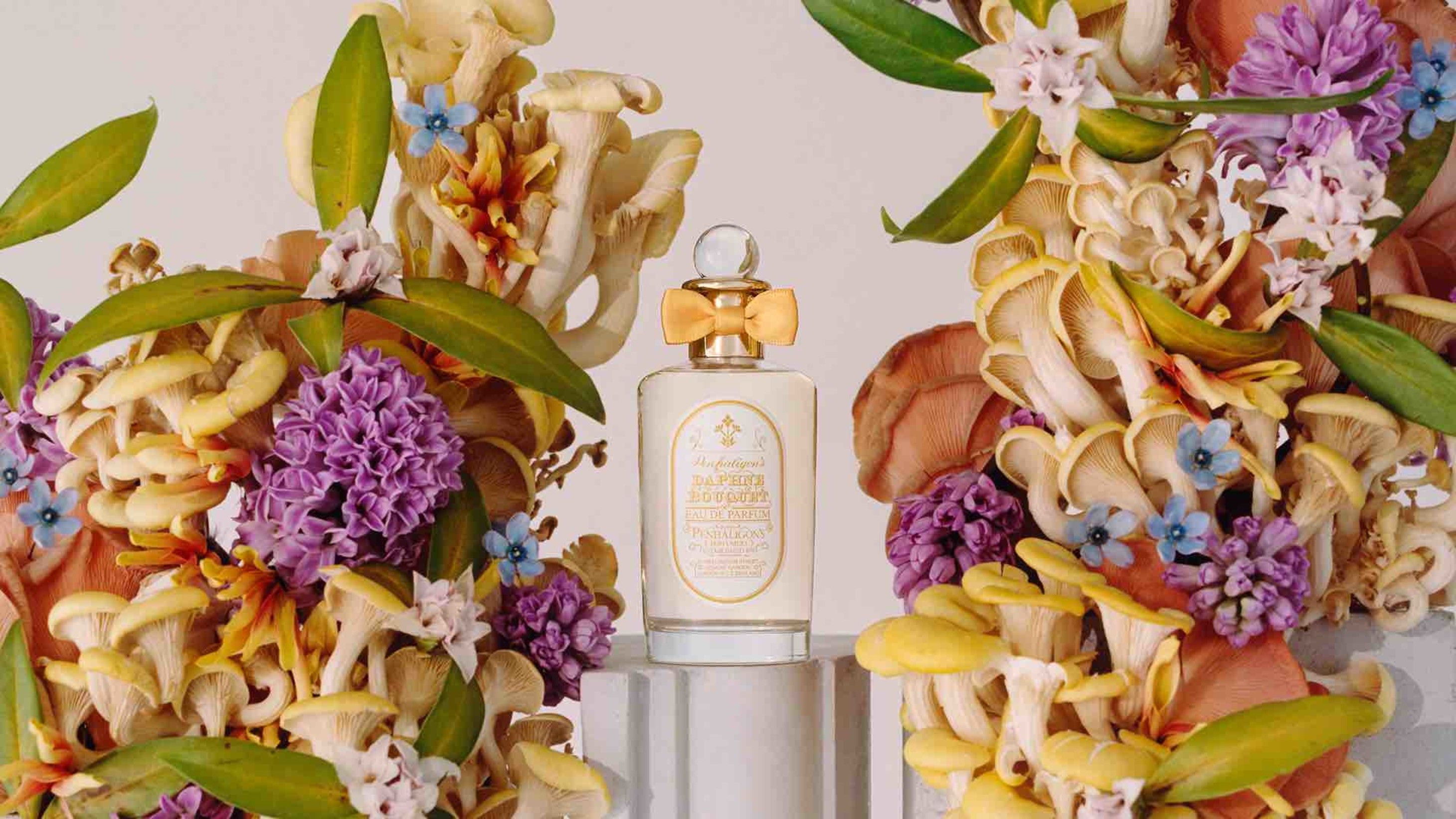 Daphne Bouquet, la nuova eau de parfum di Penhaligon’s
Credit: Courtesy Press Office 