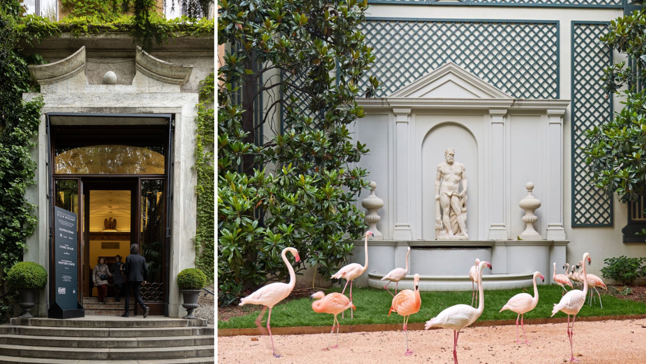 Da sinistra: L'ingresso di Villa Mozart, avvolto dalla scenografica edera - Credits Getty Images; I celebri fenicotteri rosa che vivono nel giardino di Villa Invernizzi - Courtesy Press Office