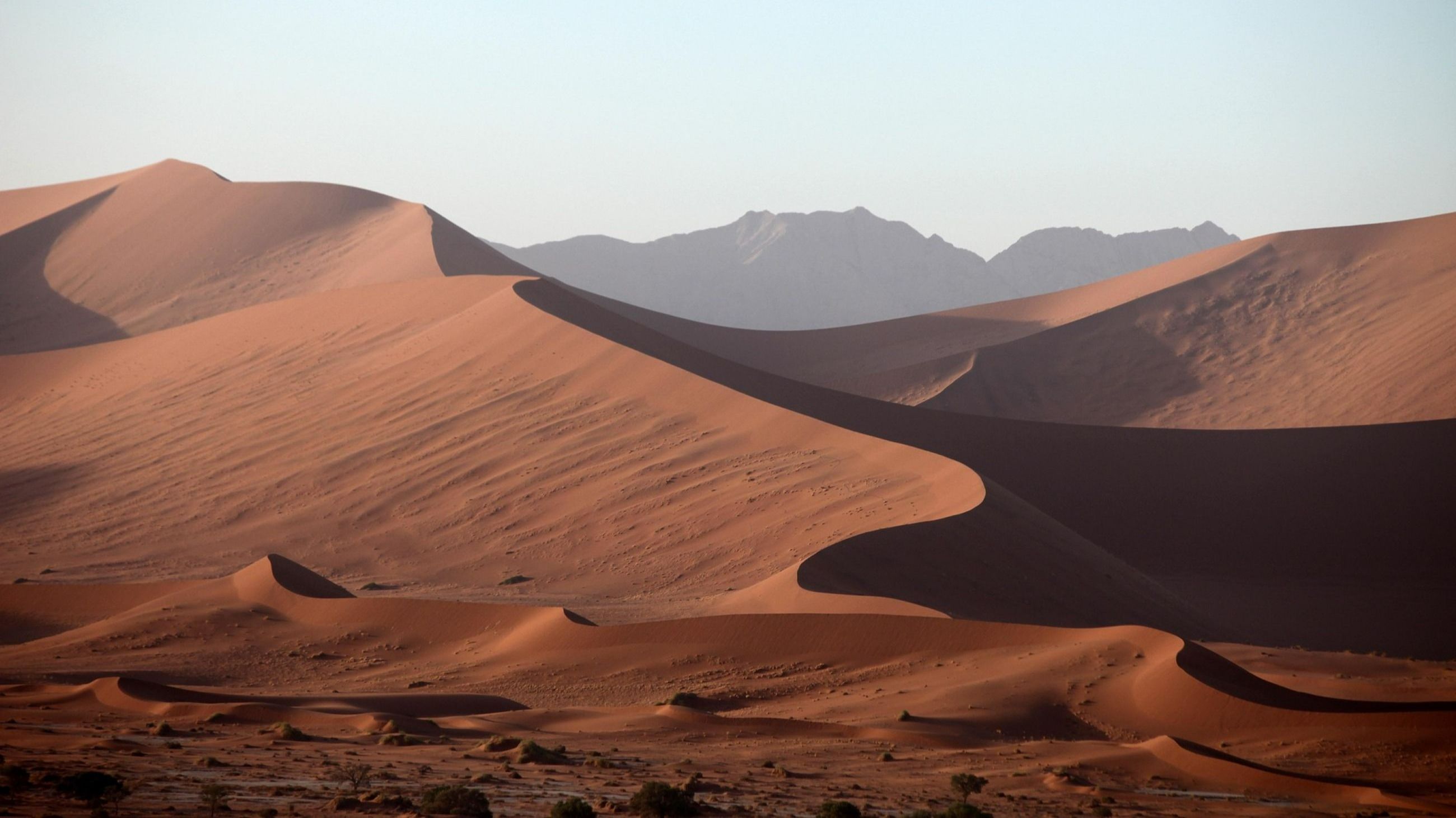 Dune del deserto, Namibia