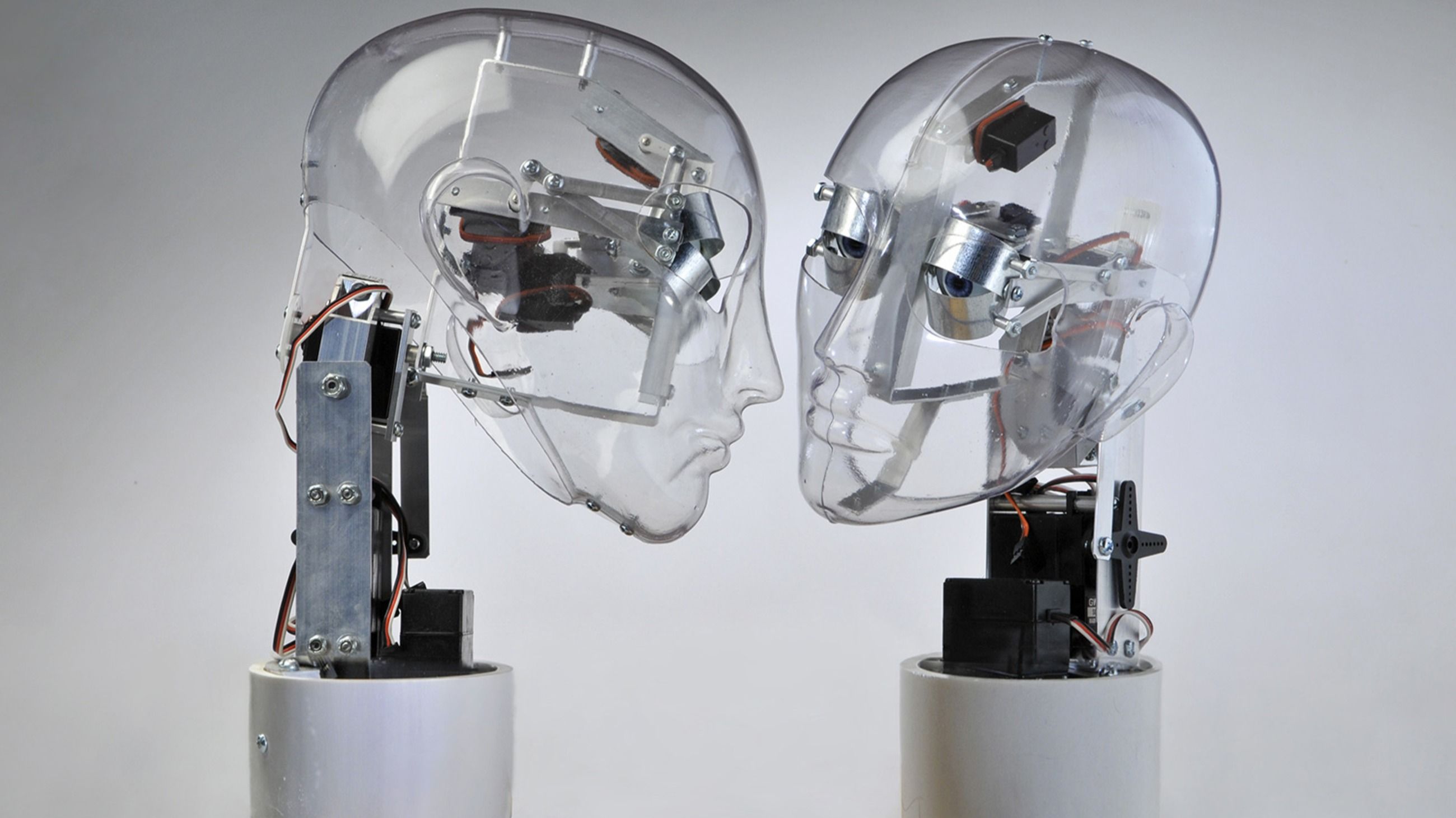 Affective Robots - Impossible kiss, 2012 foto di Fabio Mantegna
