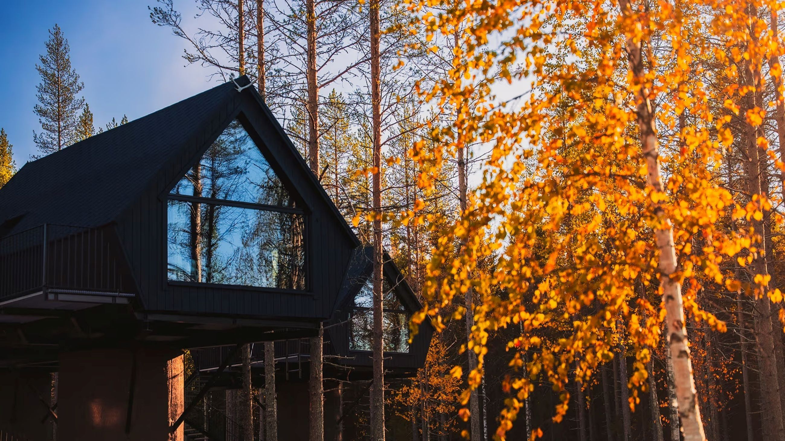 Aito Aurora Treehouse, Finlandia - Courtesy Press Office