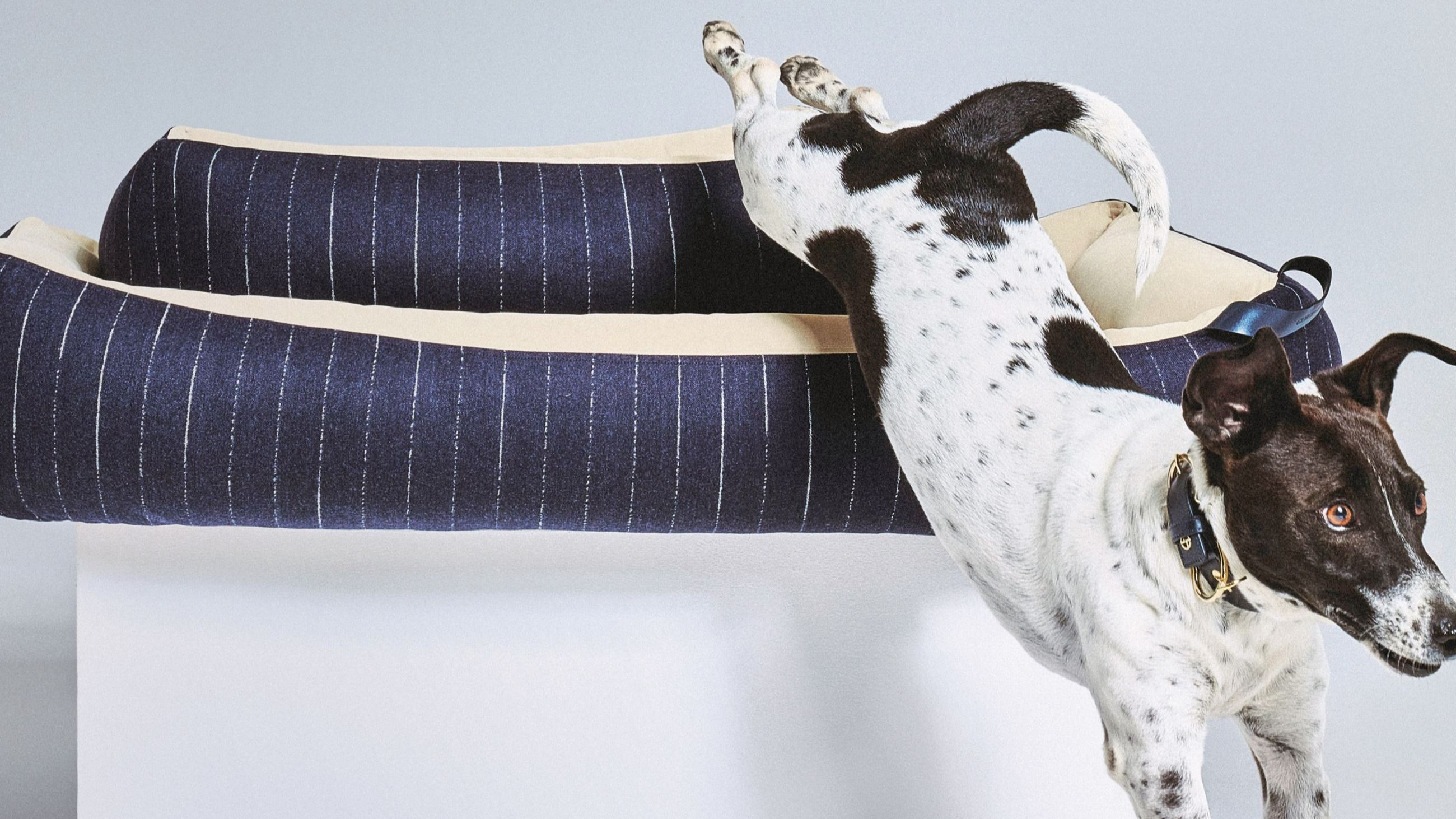 La cuccia facente parte della capsule collection Poldo x Giorgio Armani, per dormite da sogno - Credits: Ufficio Stampa