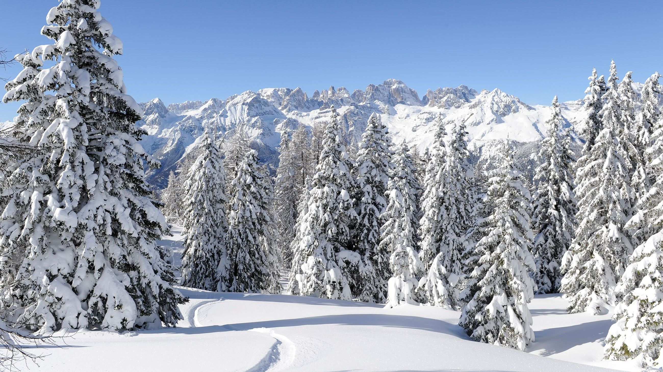 Sport Hotel Panorama, Credito Tonina - Courtesy Press Office