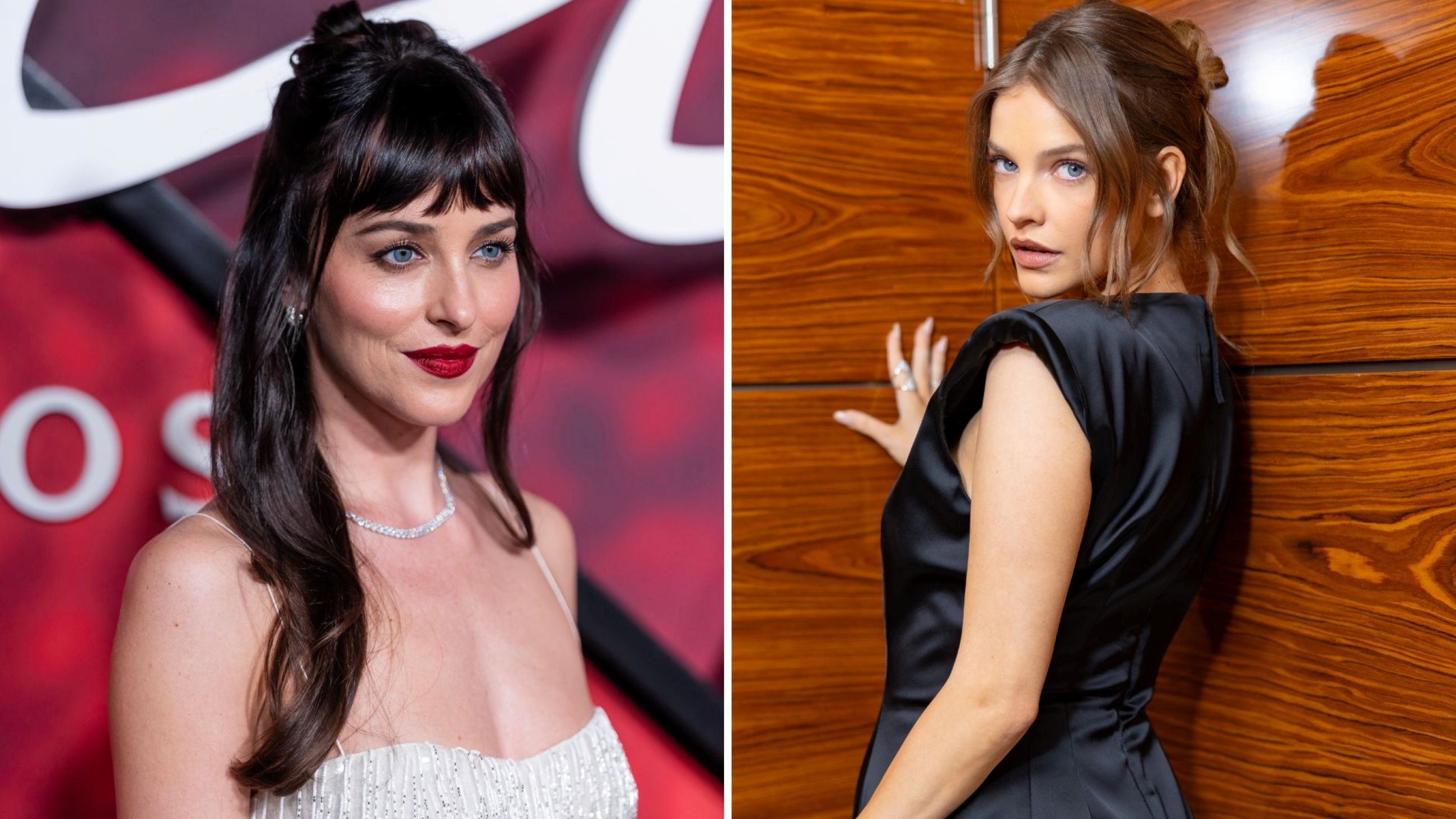 Da sinistra a destra, Dakota Johnson e Barbara Palvin - Credits: Getty Images