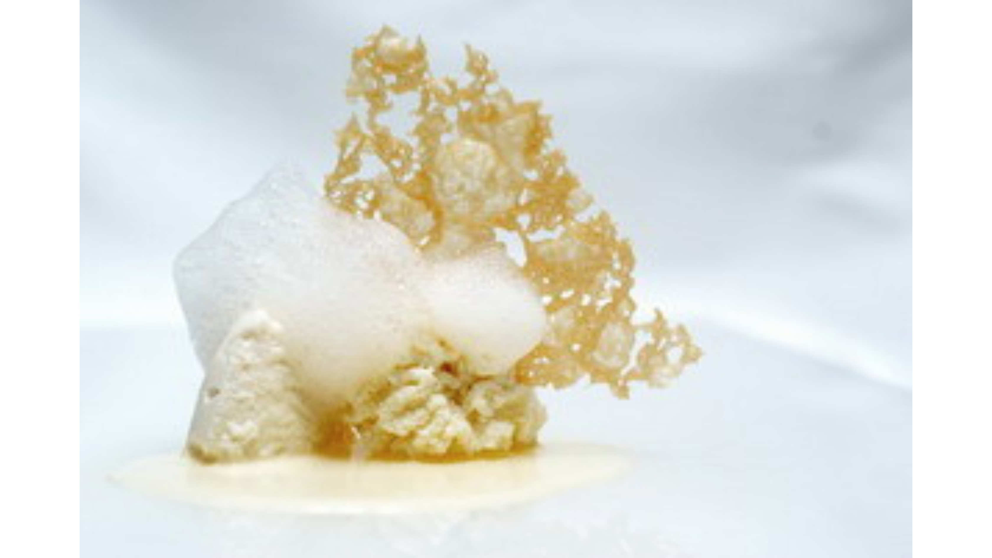 Cinque stagionature di Parmigiano Reggiano, Massimo Bottura Courtesy Press Office