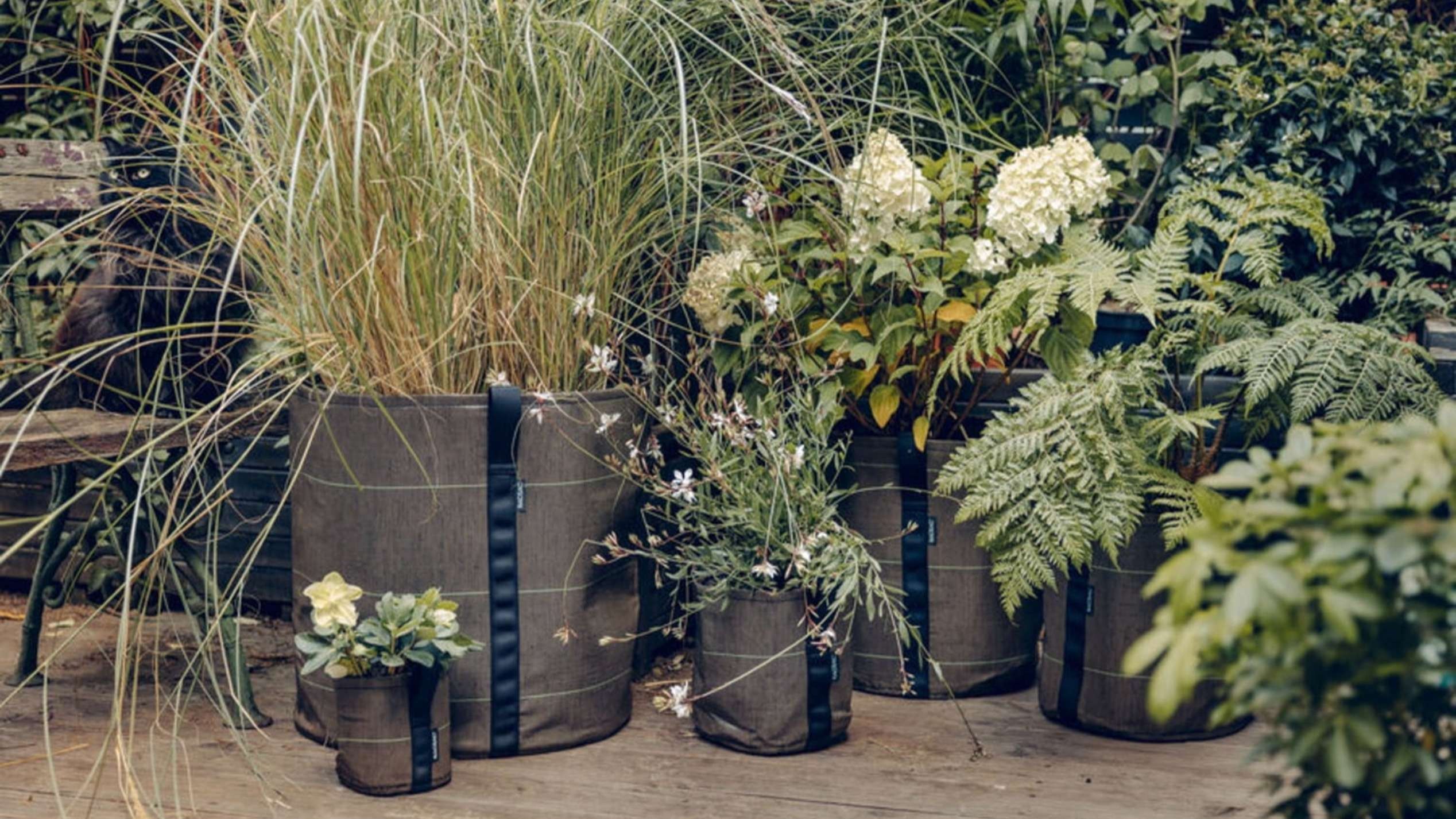 Tessuto leggero e flessibile per i vasi a sacco (BACSAC®) 
Credits: Courtesy Press Office 